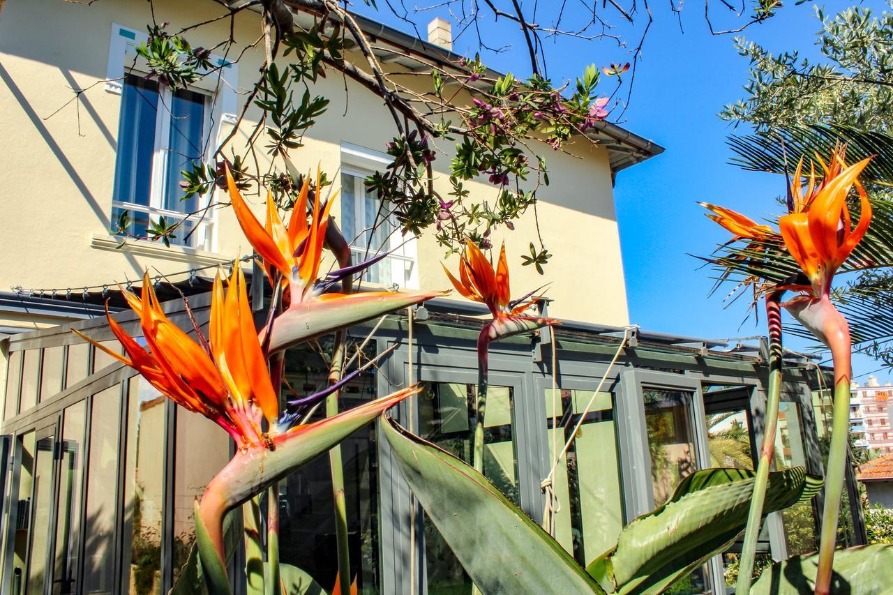 B&B Villa Du Roc Fleuri Κάννες Εξωτερικό φωτογραφία